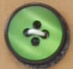Shiny Green Button